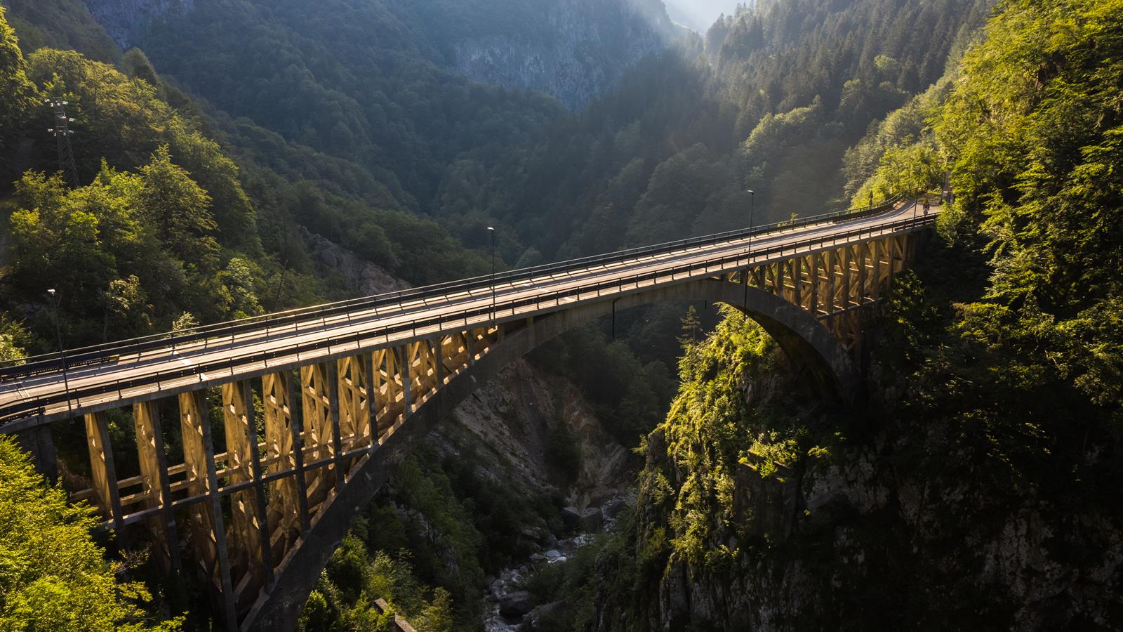 Ricerche Di Mercato E Avvisi Preinformazione